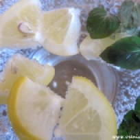 Mineralwasser mit Zitrone und frischer Minze